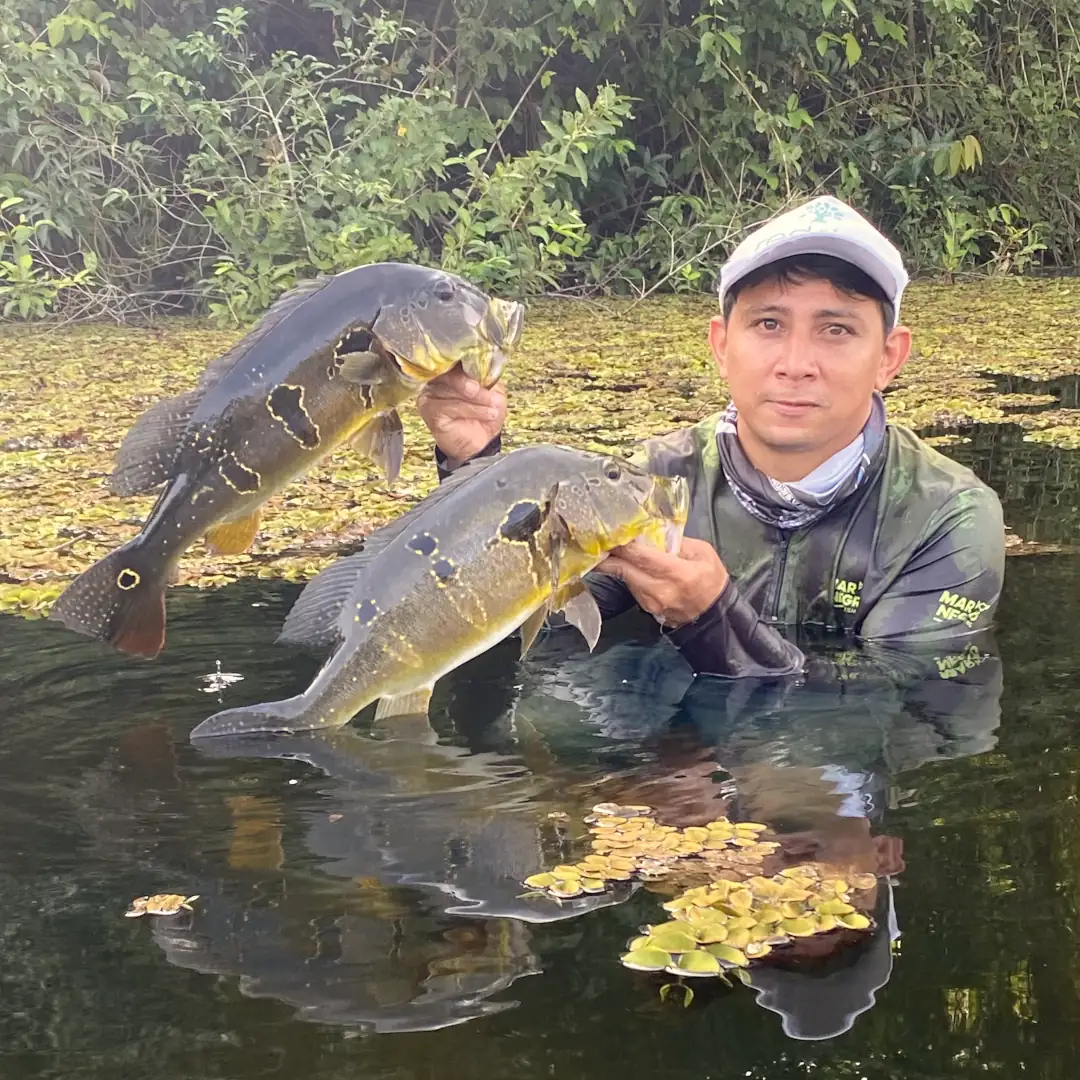 Triple-borders-lodge-hotel-rio-juruena-teles-pires-tapajós-pesca-esportiva-pacote-pesca-no-amazonas