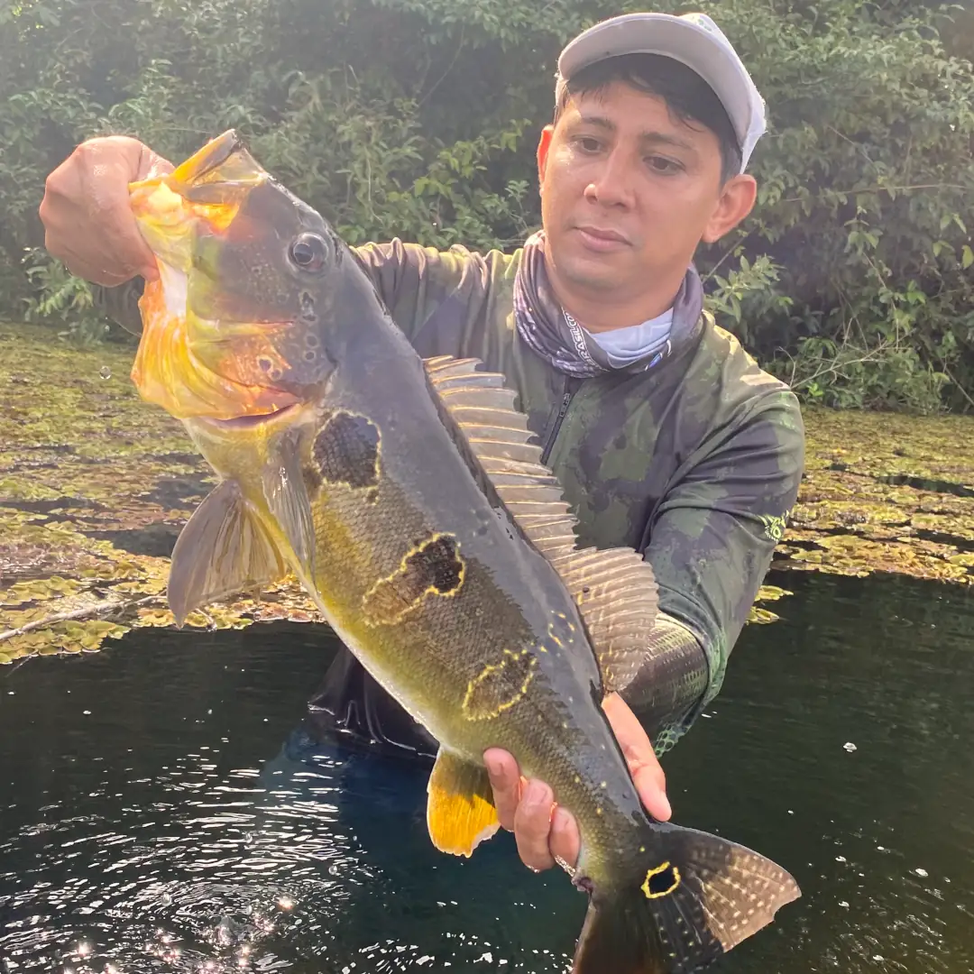 Triple-borders-lodge-hotel-rio-juruena-teles-pires-tapajós-0104