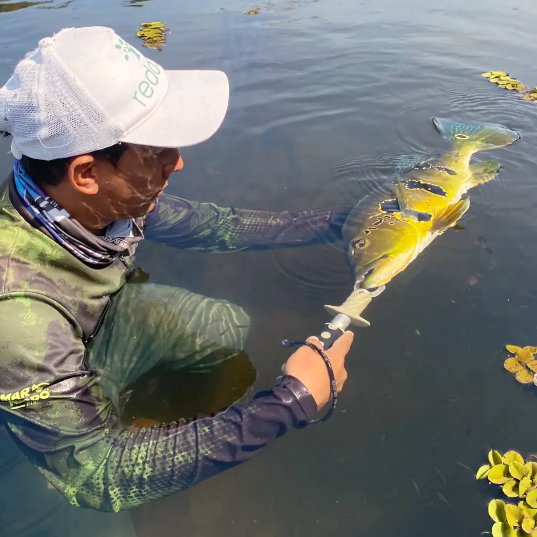 Triple-borders-lodge-hotel-rio-juruena-teles-pires-tapajós-0107