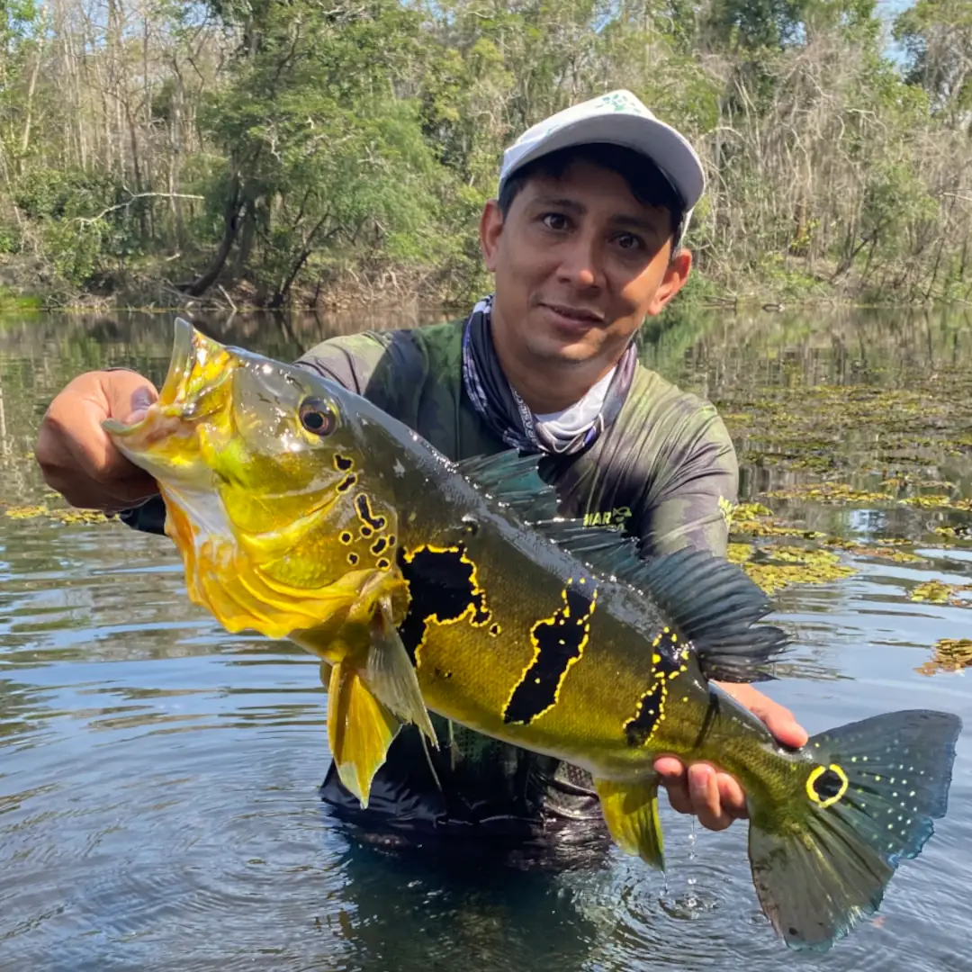 Triple-borders-lodge-hotel-rio-juruena-teles-pires-tapajós-0110