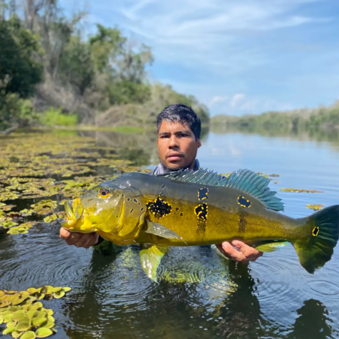Triple-borders-lodge-hotel-rio-juruena-teles-pires-tapajós-0113