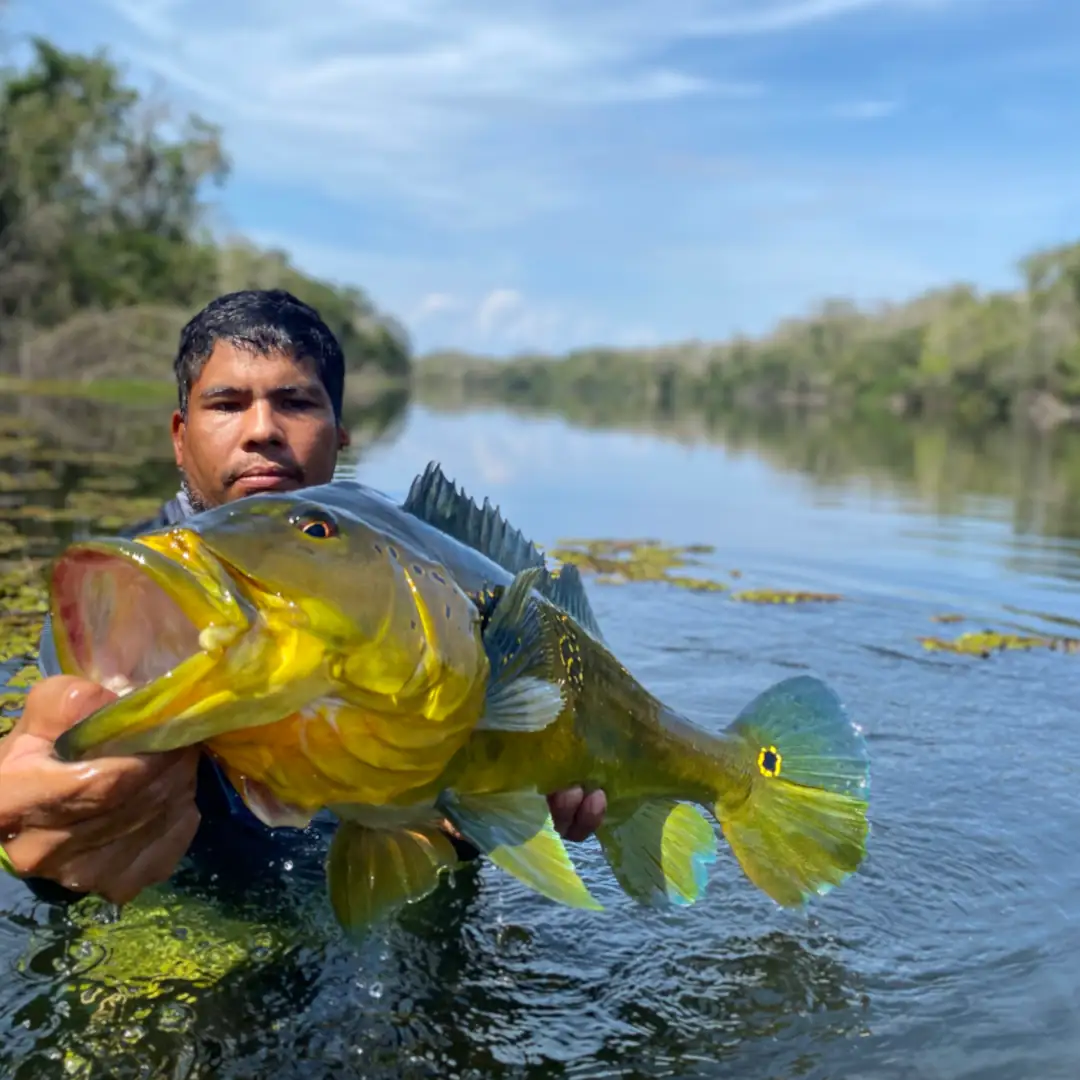 Triple-borders-lodge-hotel-rio-juruena-teles-pires-tapajós-0114