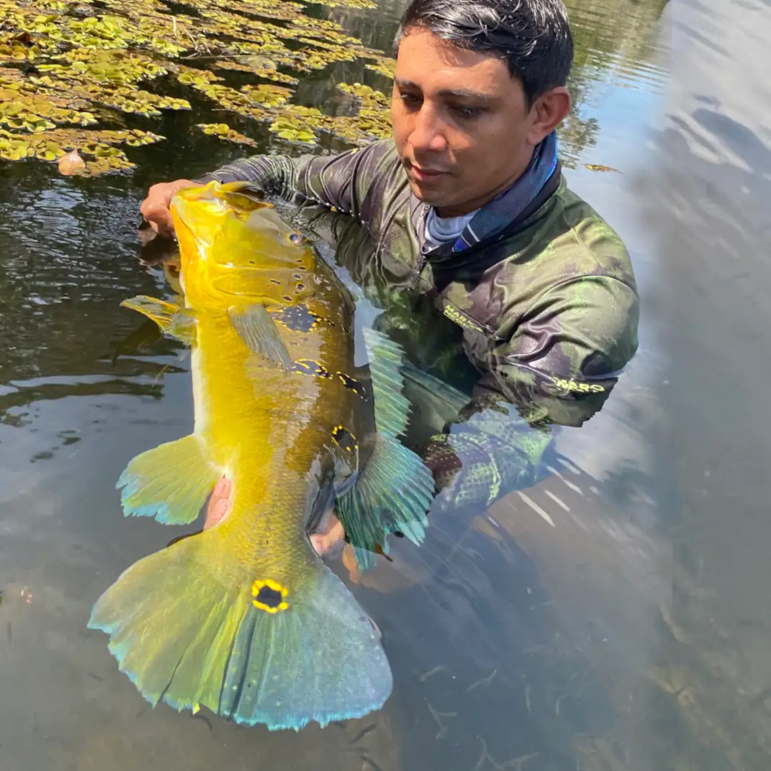 Triple-borders-lodge-hotel-rio-juruena-teles-pires-tapajós-0115