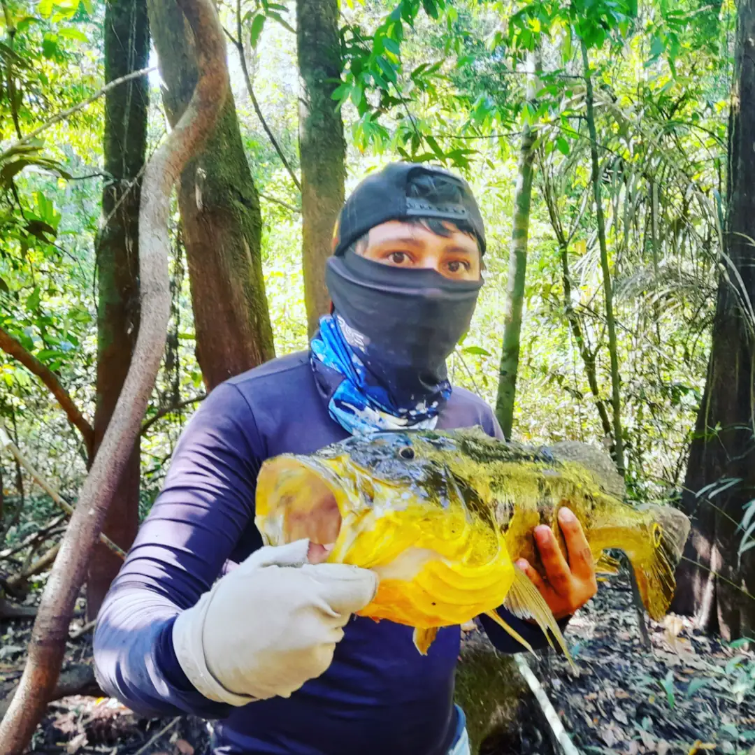 Triple-borders-lodge-hotel-rio-juruena-teles-pires-tapajós-0118