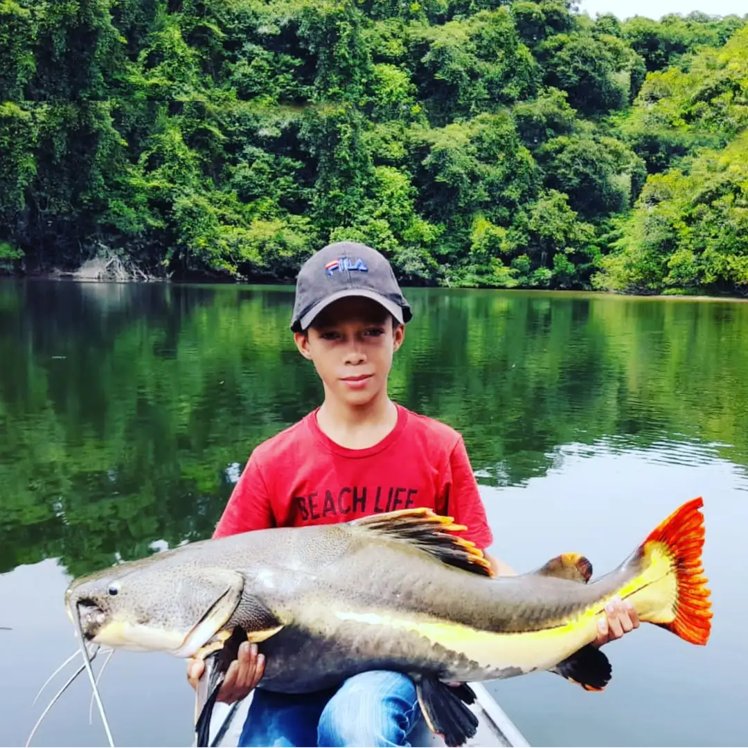 Triple-borders-lodge-hotel-rio-juruena-teles-pires-tapajós-0119