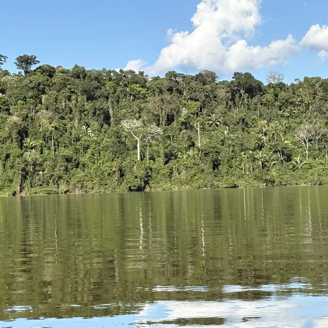amazonia-rio-tapajos-borders-lodge-hotel_60_resultado