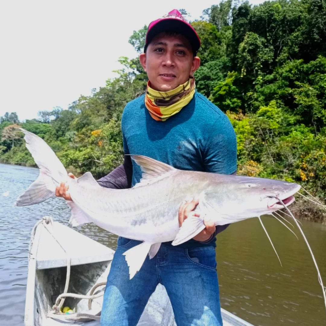 piraiba no rio teles pires no amazonas, pesca esportiva, expedição de pesca. pacote de pesca na amazônia, hotel e pousada triple borders lodge hotel