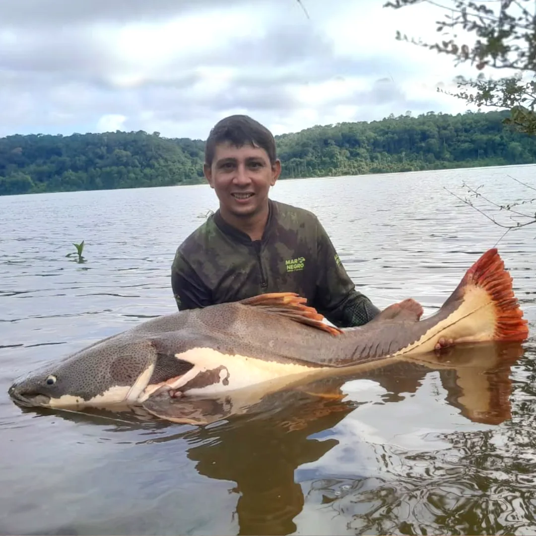 pescaria de pirarara, nos rios teles pires, rios juruena, no amazonas, pesca esportiva, expedição de pesca. pacote de pesca na amazônia, triple borders lodge hotel