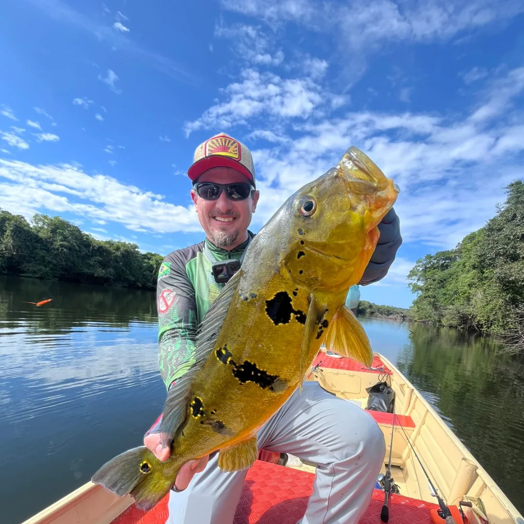 pesca dos sonhos, pescando tucunaré na amzônia, pesca esportiva